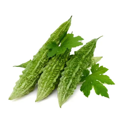 Bitter Gourd