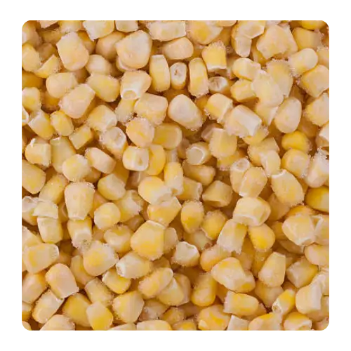 Sweet Corn