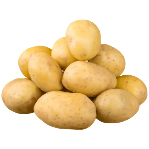 Potato